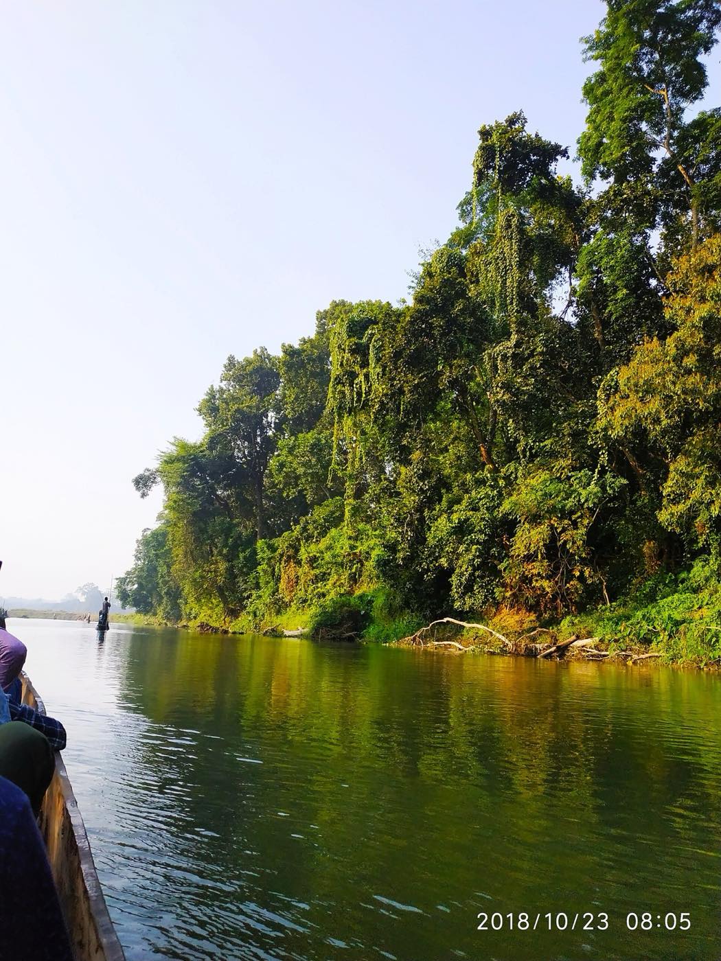 A wooden canoe on a calm stretch of river with forest along the far bank
