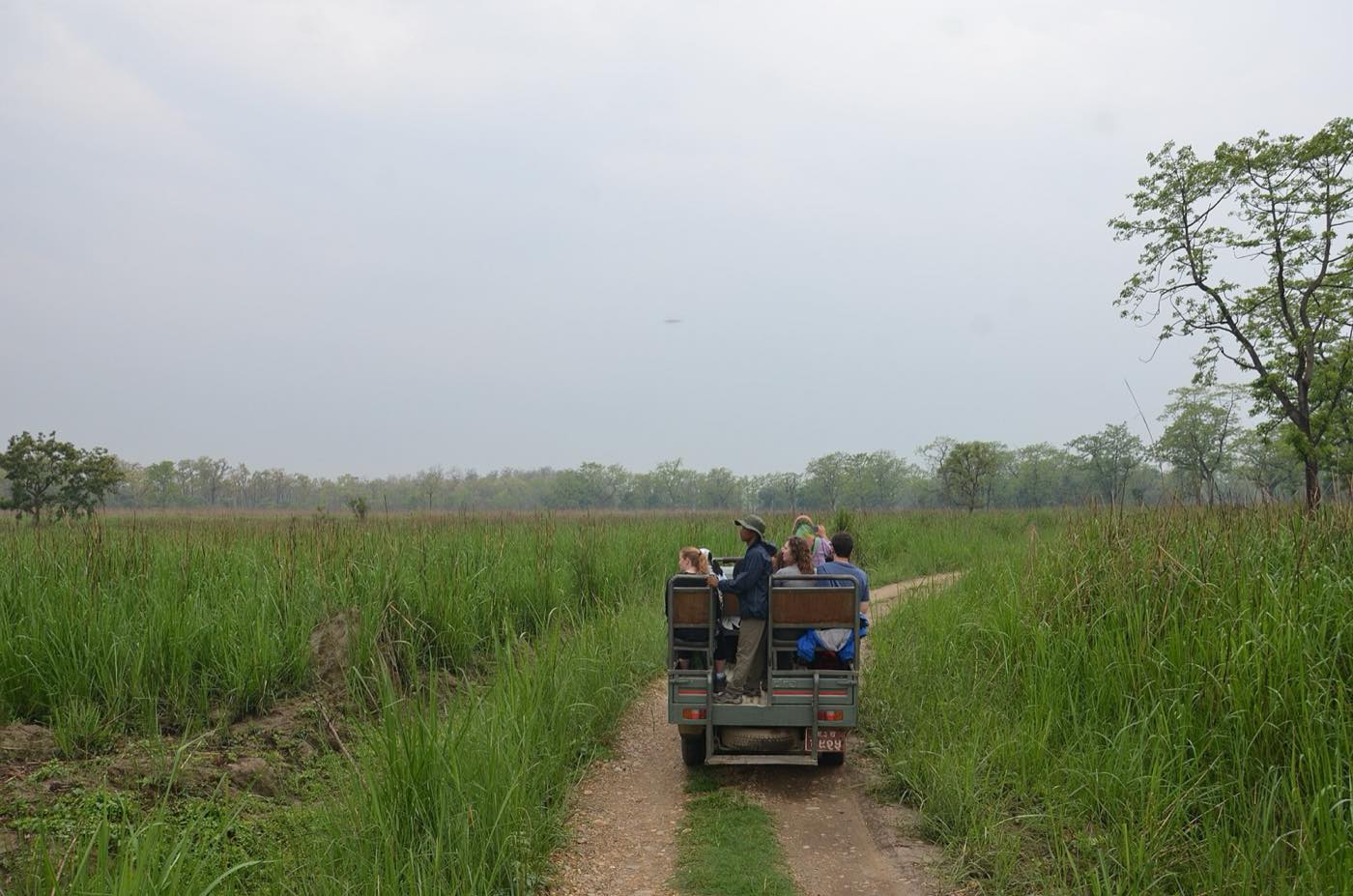 A jeep on a forest track inside Chitwan National Park at first light
